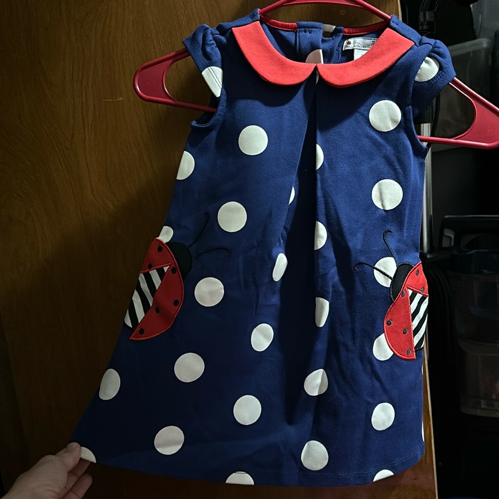 2T lady bug dress